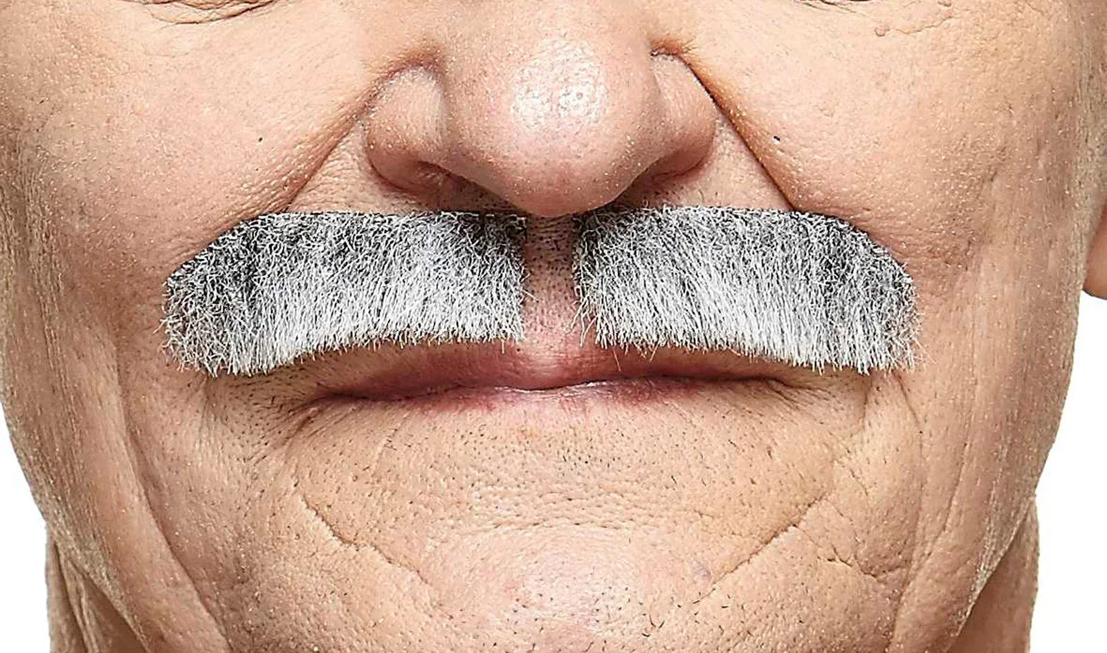 Bigote Canoso Elegante Barbas y Bigotes Viving